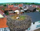 New webcam: Badra, Germany