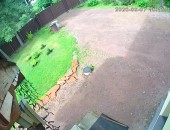 New webcam: Saint Petersburg, Russia